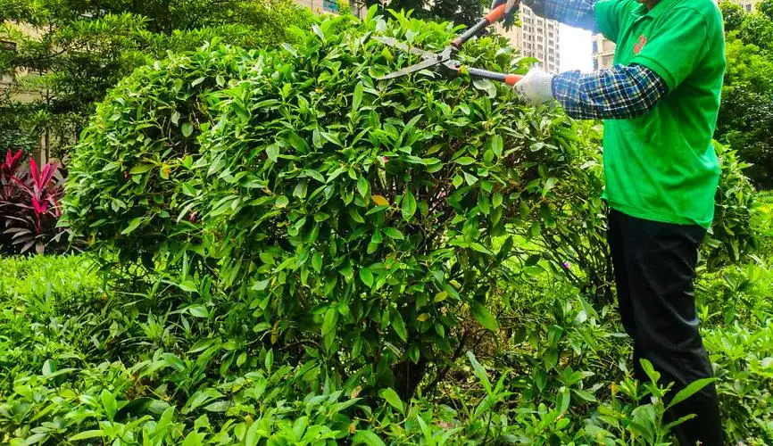 别墅园林景观设计南京