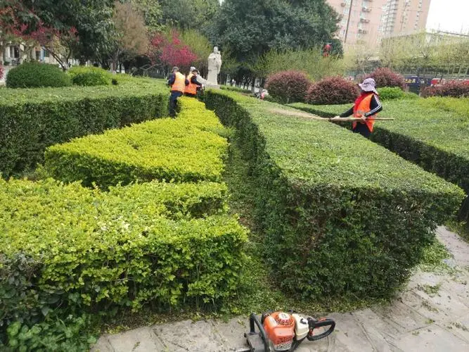 东园林绿化工程