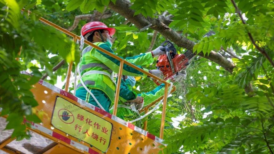 别墅森林园林景观设计